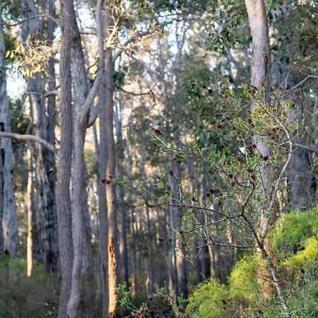 Jarrah Grove Forest Retreat - Adults Only Luxury Chalet Rosa Glen Экстерьер фото