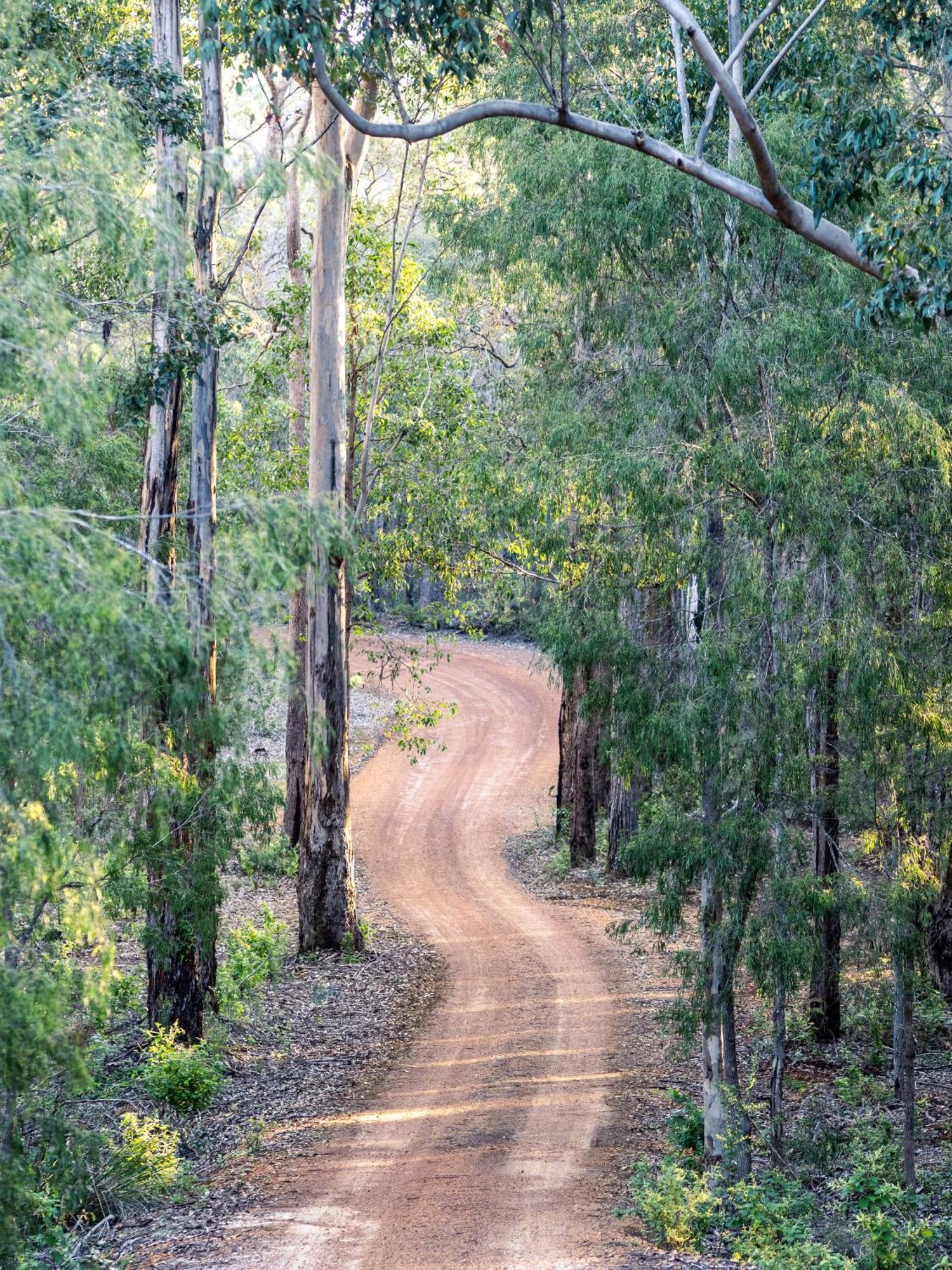 Jarrah Grove Forest Retreat - Adults Only Luxury Chalet Rosa Glen Экстерьер фото