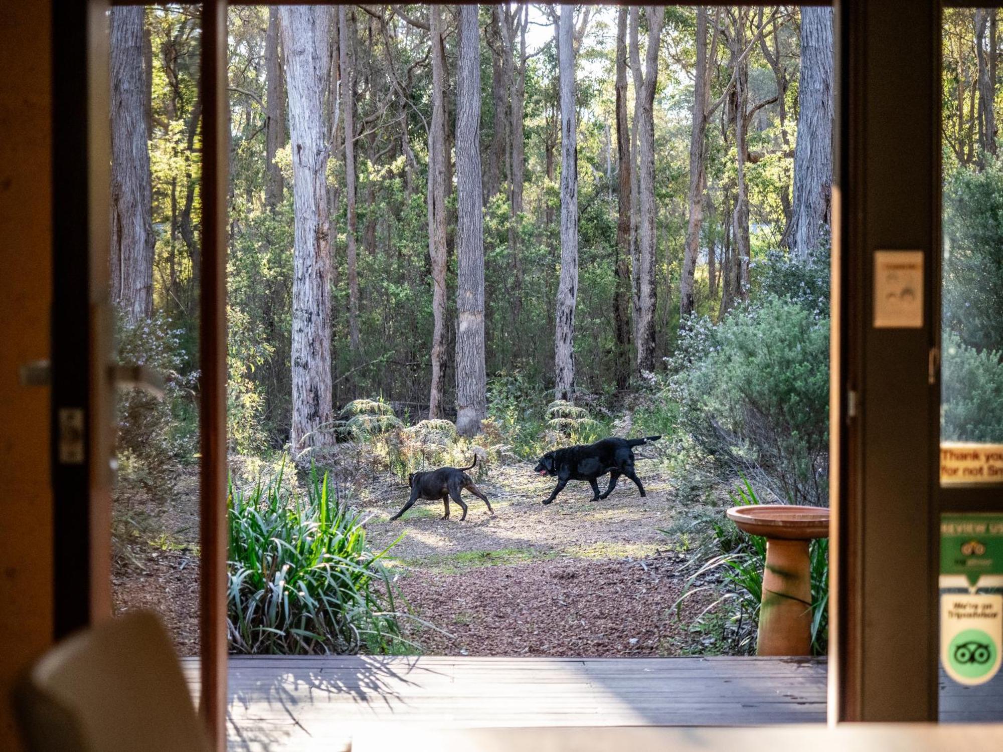 Jarrah Grove Forest Retreat - Adults Only Luxury Chalet Rosa Glen Экстерьер фото
